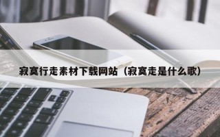 开平寂寞行走素材下载网站（寂寞走是什么歌）
